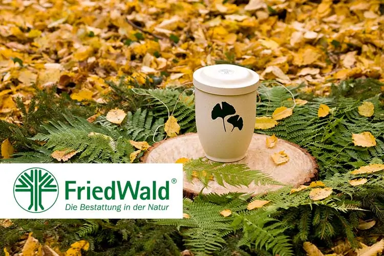 Auf einem Baumstumpf mit Farn und Herbstlaub steht eine biologisch abbaubare Urne mit dem FriedWald Buxtehude-Logo auf der Vorderseite. - Bestattungsunternehmen in Winsen, Harburg und in der Elbmarsch.